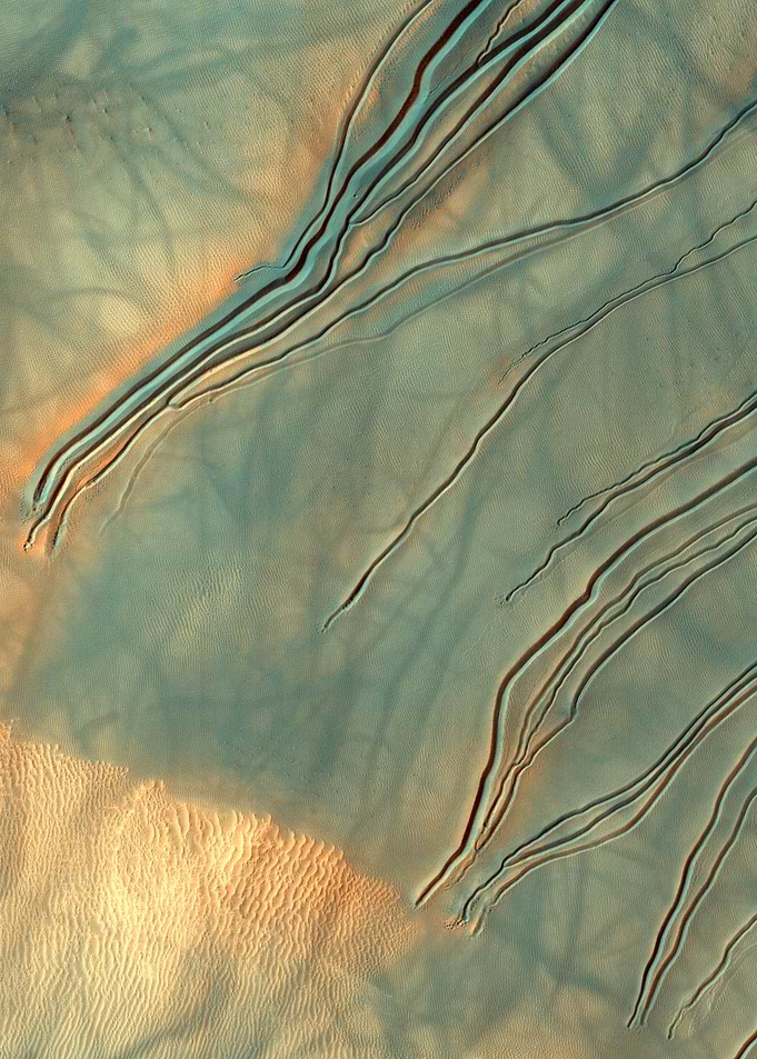 Mars Dune Gullies