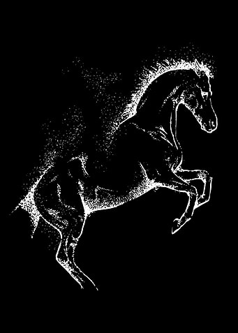 Dispersion Horse