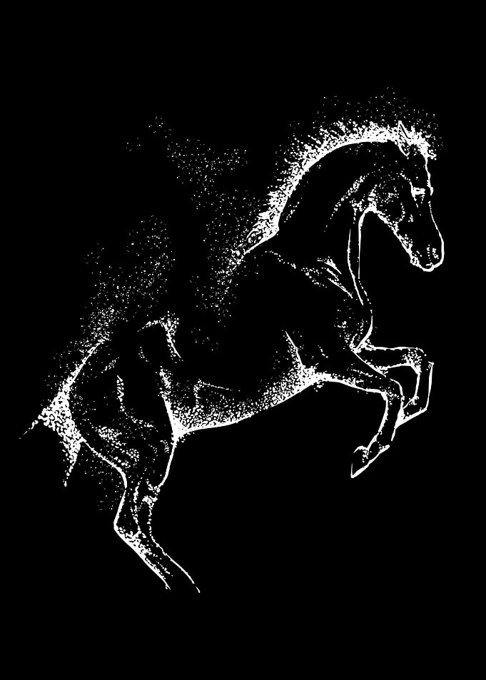 Dispersion Horse