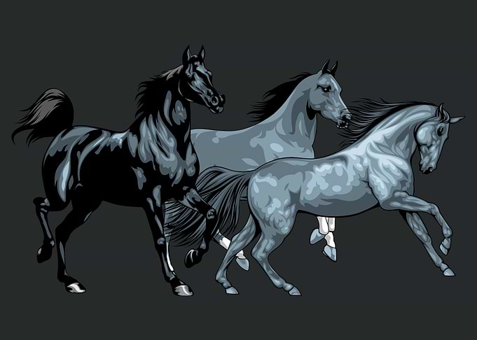 Herd of Wild Horses