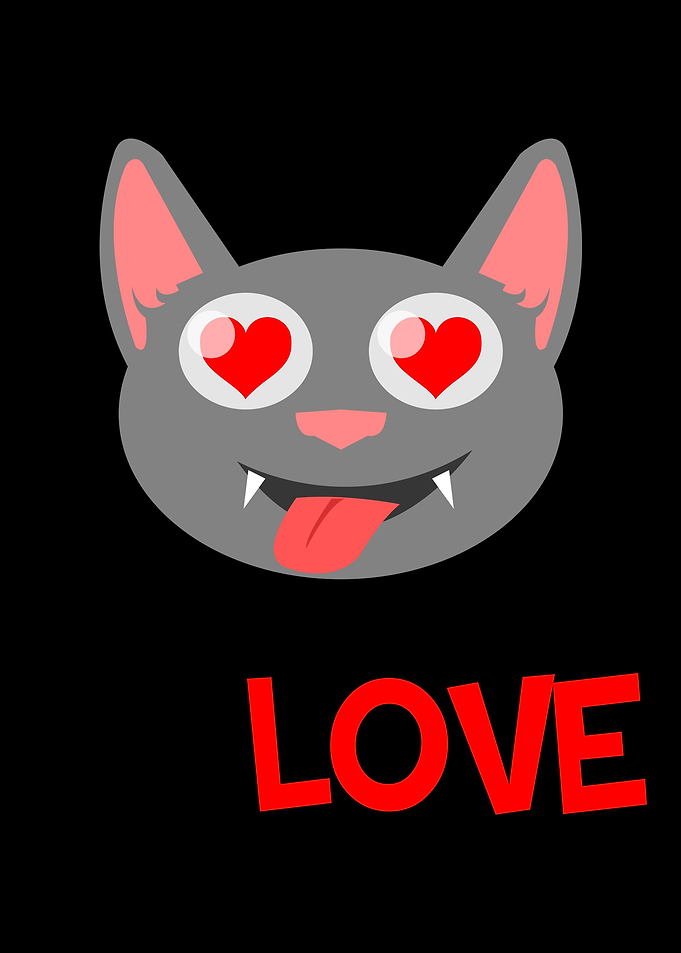 Cat Funny