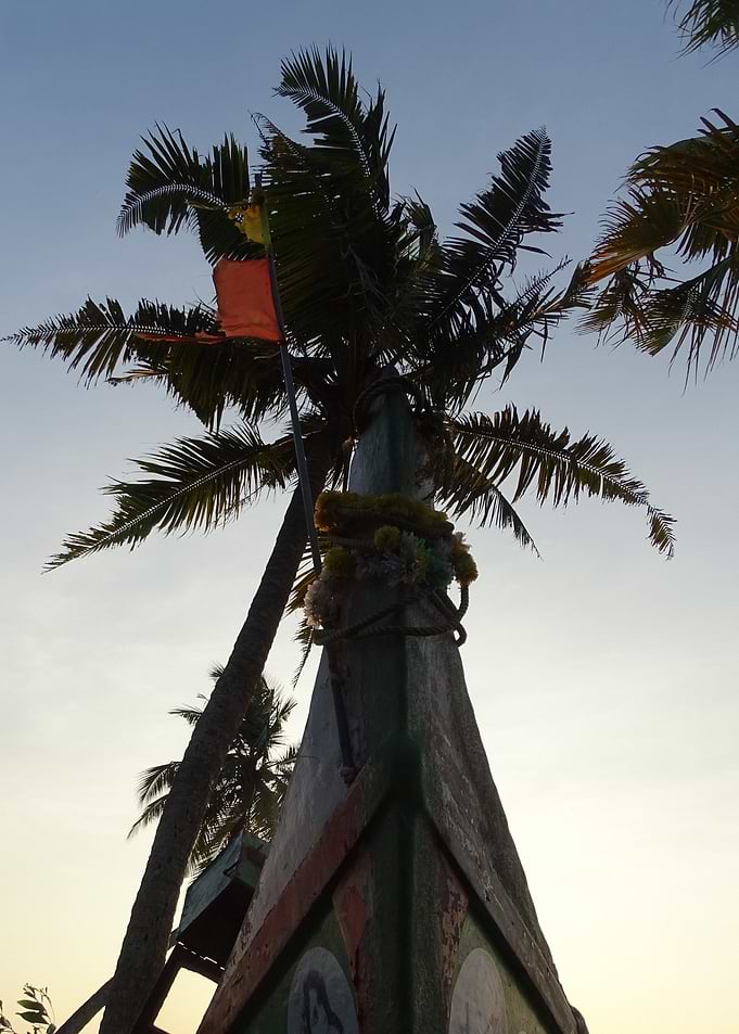 palms and boats