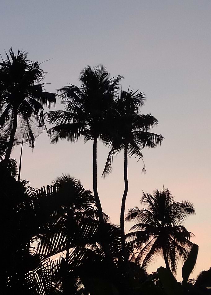 after the sundown