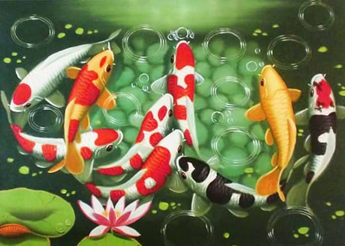 fish drawing