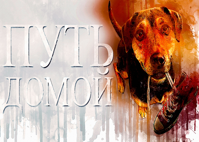 A dogs way home 1