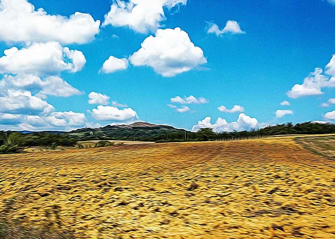 Countryside of Italy