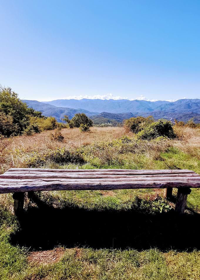 The bench in the Mountains