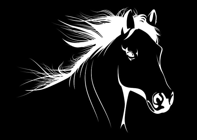 Horse Sketch