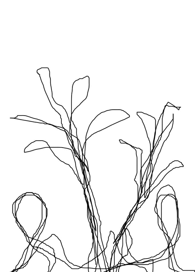 original abstract scribble