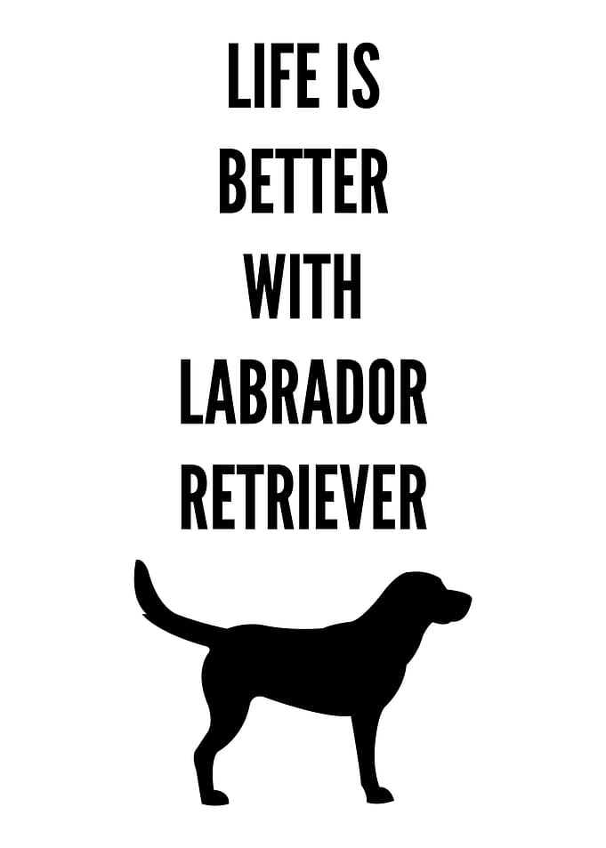 Life is better with Labrad