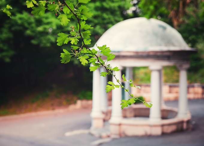 Rotunda in the park