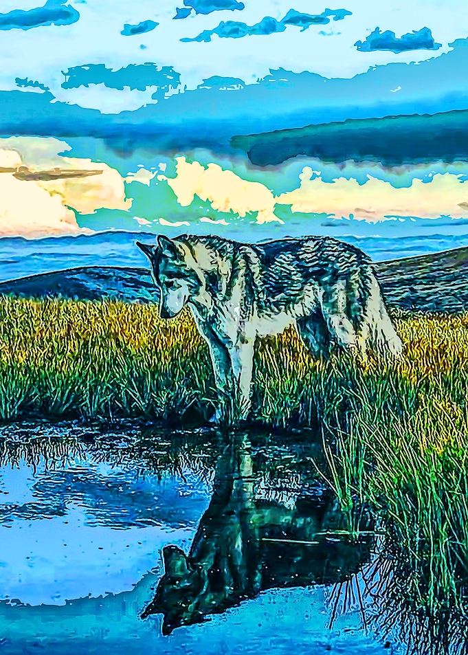 Animal 59