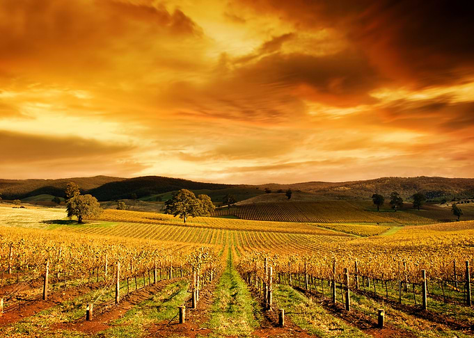 Sunset Sunrise Barossa Nat