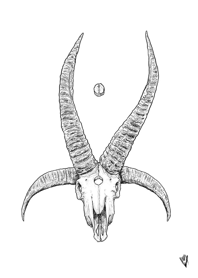 Jacob Skull Line