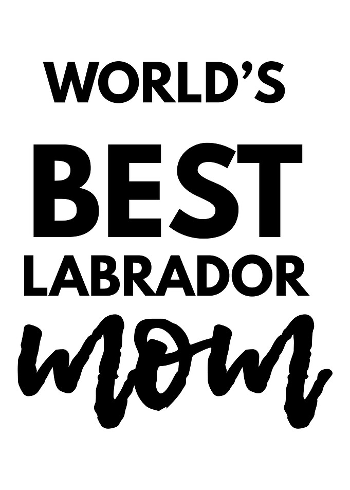 The best Labrador mother i
