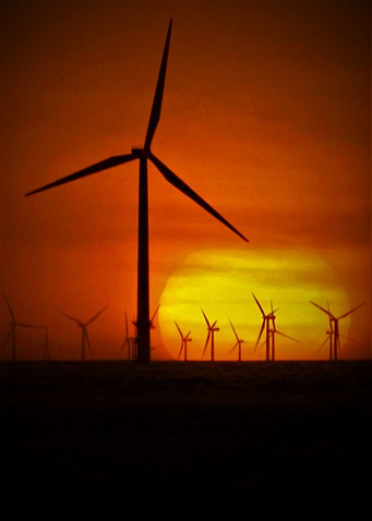 Windmills at Sunset
