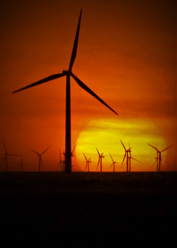 Windmills at Sunset