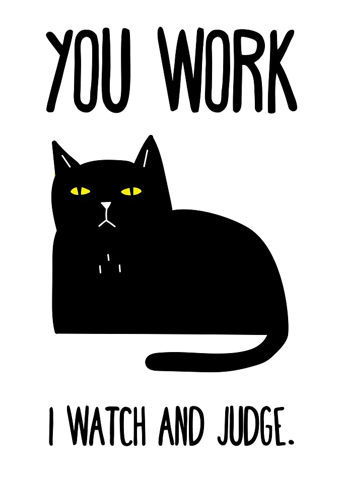 Cats are Assholes