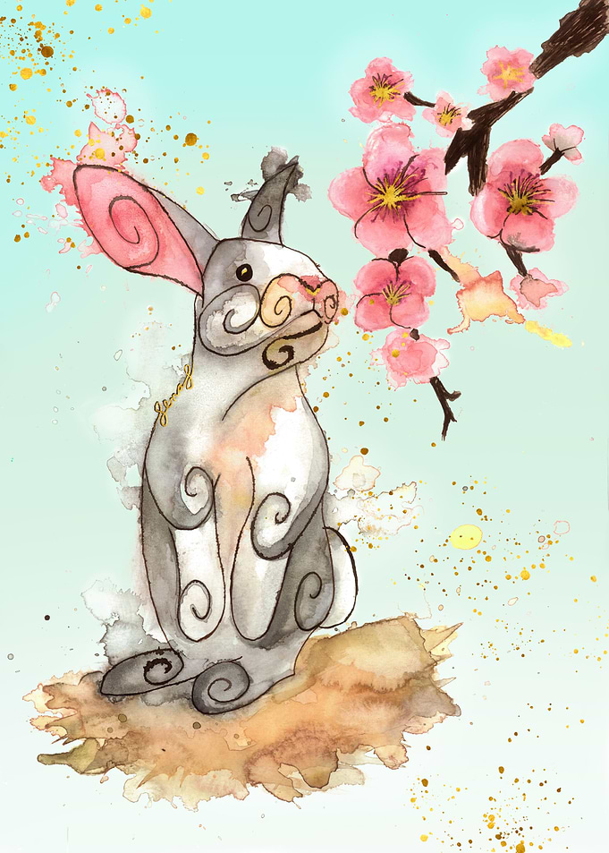 Rabbit