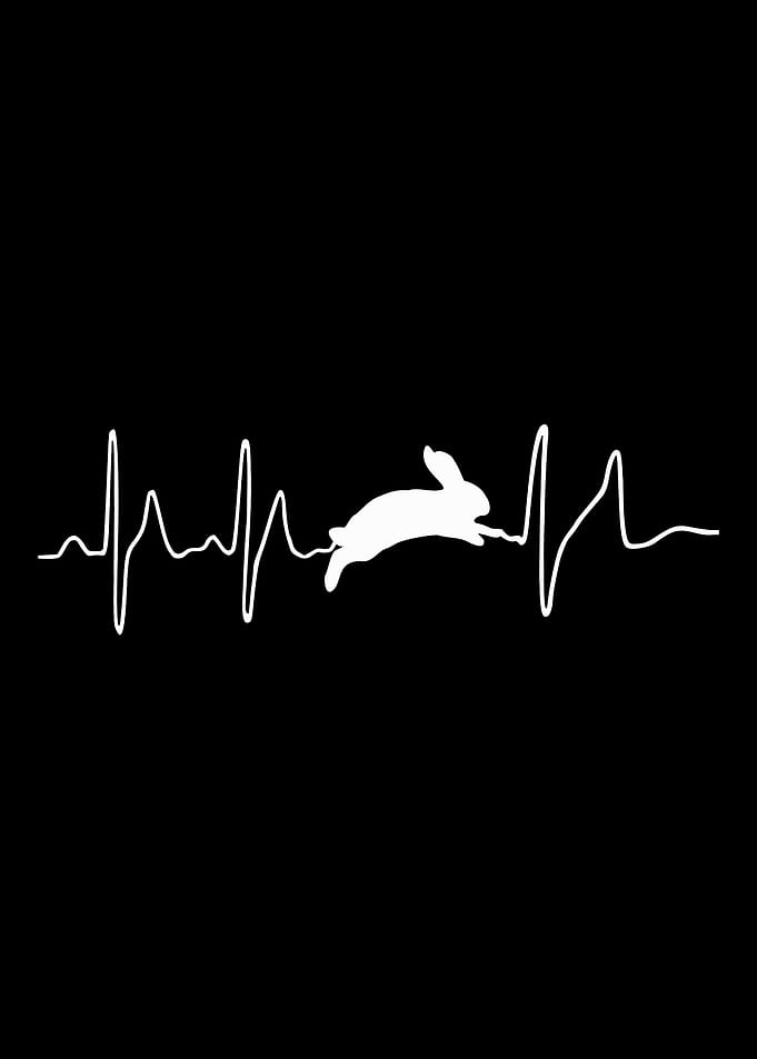 Bunny Heartbeat for bunny