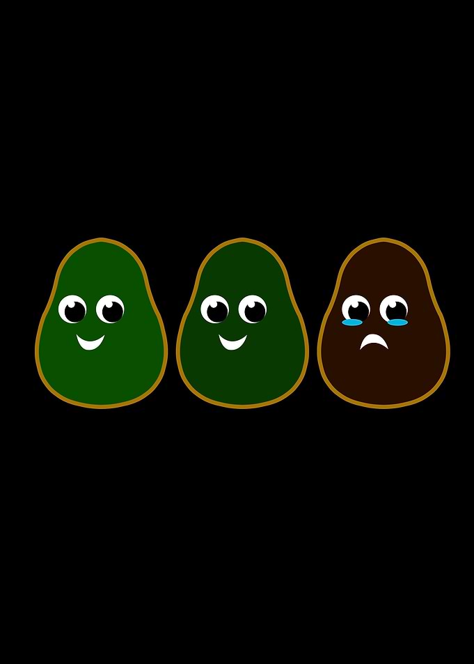 Cool Green Avocado