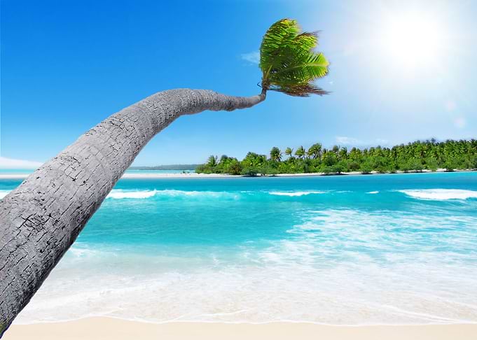 Tropical Romantic Peaceful