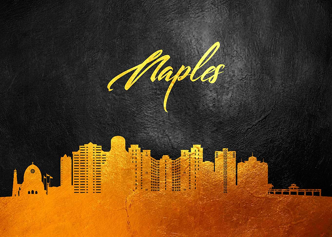 Naples Florida Skyline