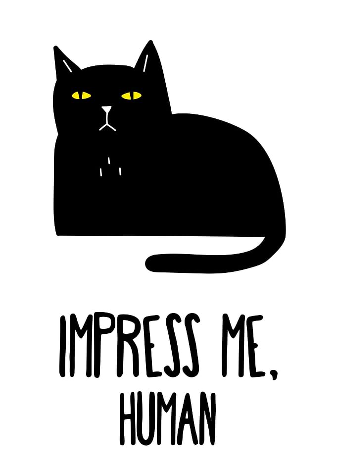 Funny Cat Quote