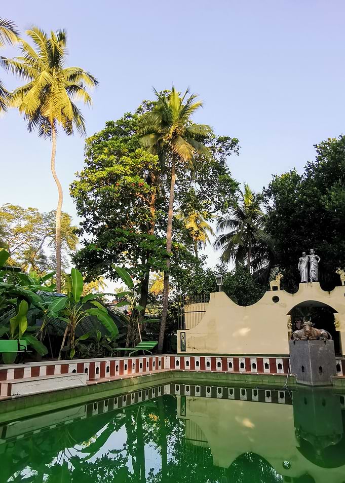 swimmingpool in the jungle