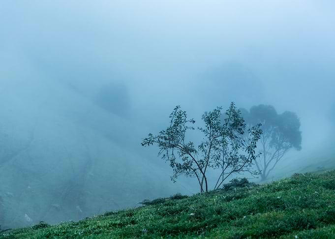Anxiety Australia Cold Con