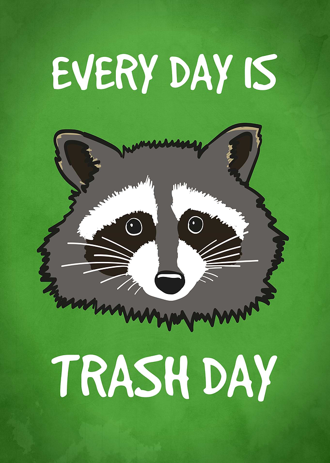 Funny Trash Panda