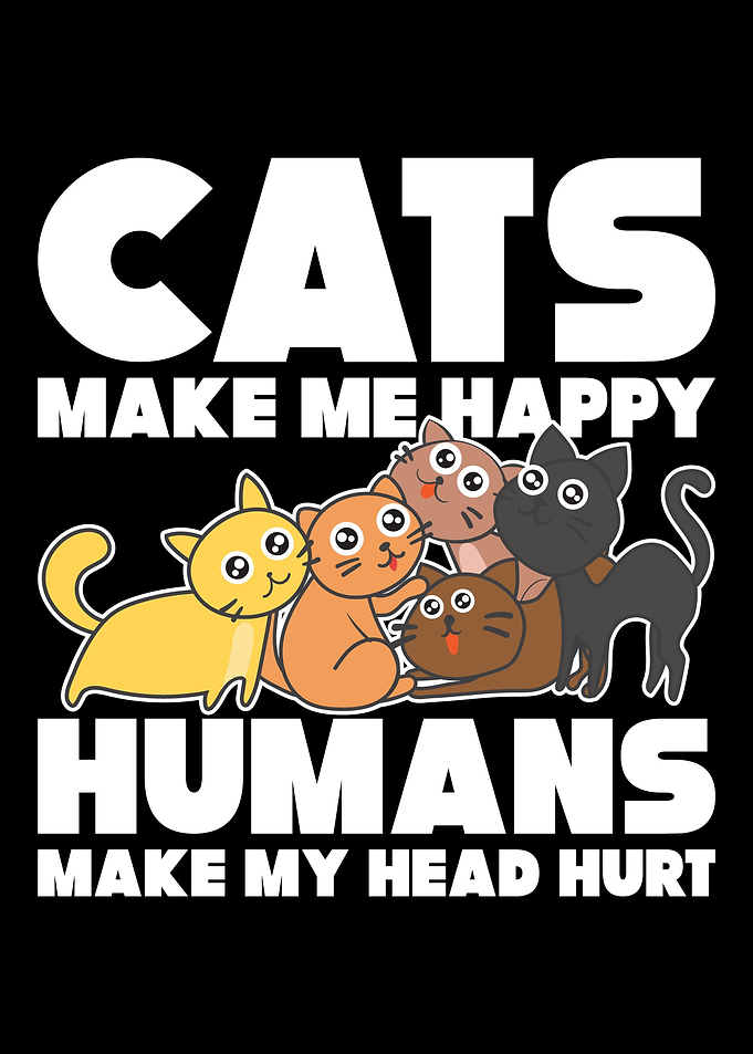 Cats Happy Cheerful Head