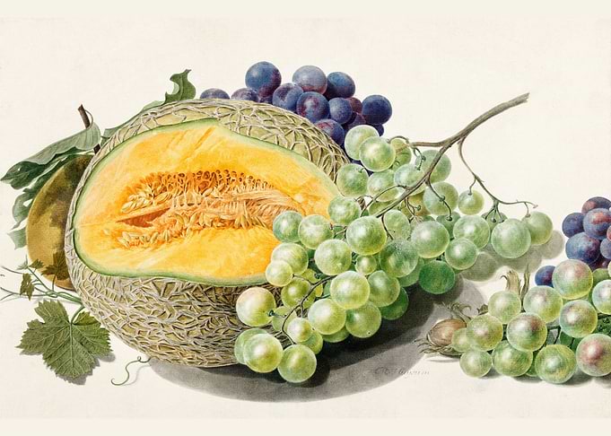 Fruits