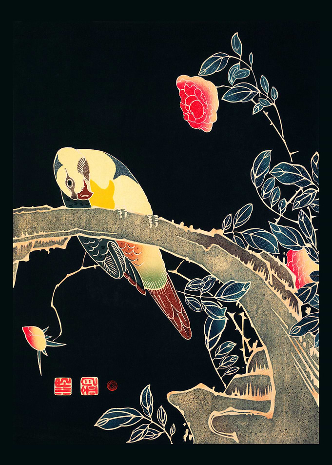 Parrot on the Branch