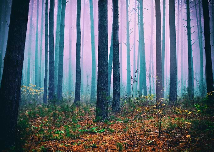 Rainy Autumn Blue Dark Dar