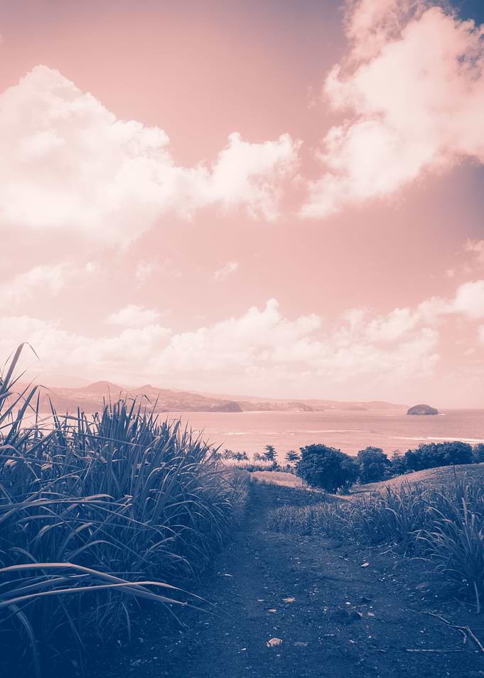 Atlantic Ocean Coast Lands