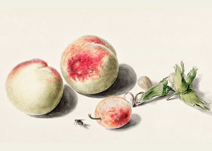 Peaches and a plum