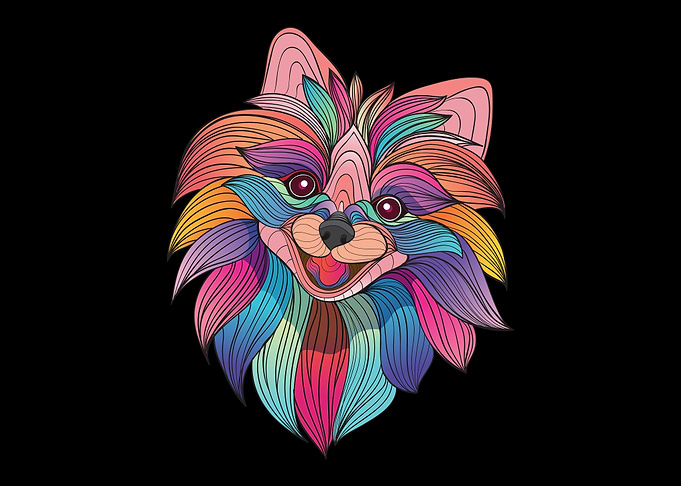 Colorful Fluffy dog