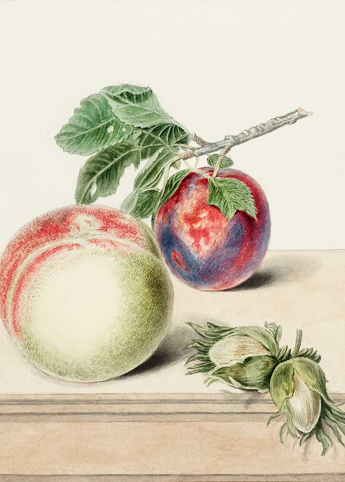 Peach and plum