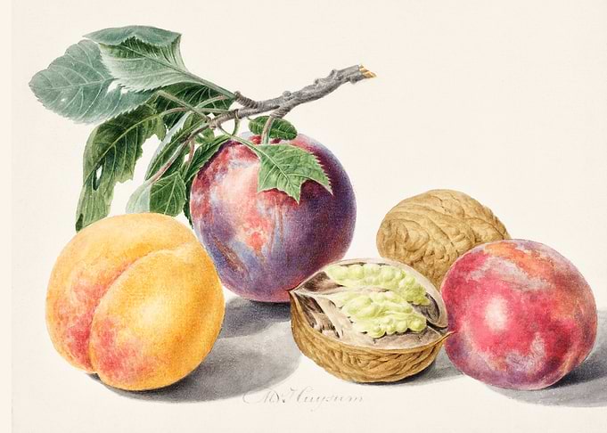 Fruits