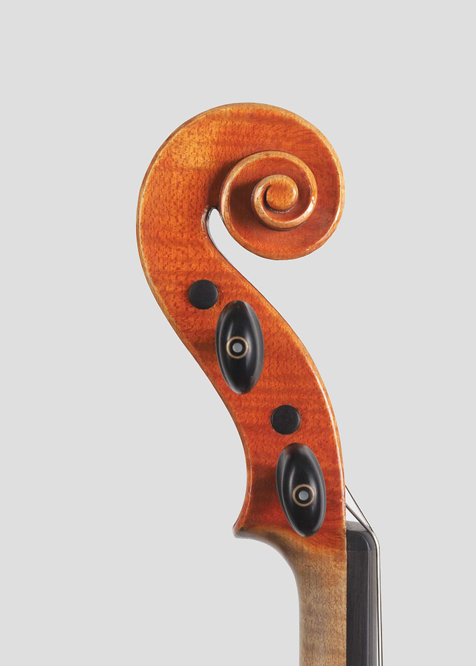 Violin detail the head