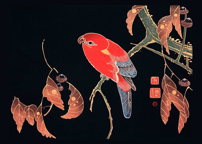 Red Parrot on the Branch