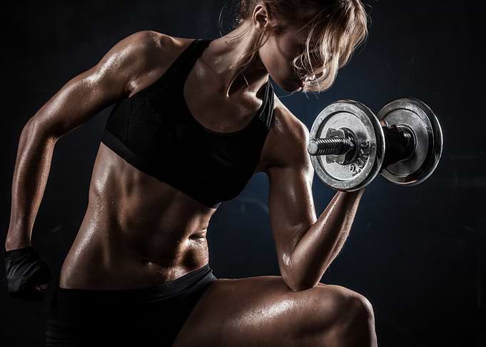 Fitness gym workout