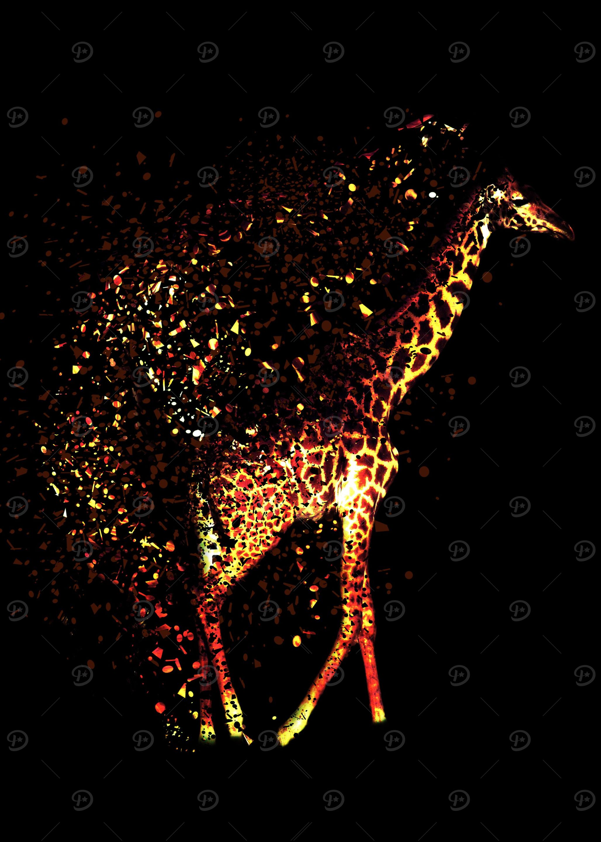 Giraffe Dispersion