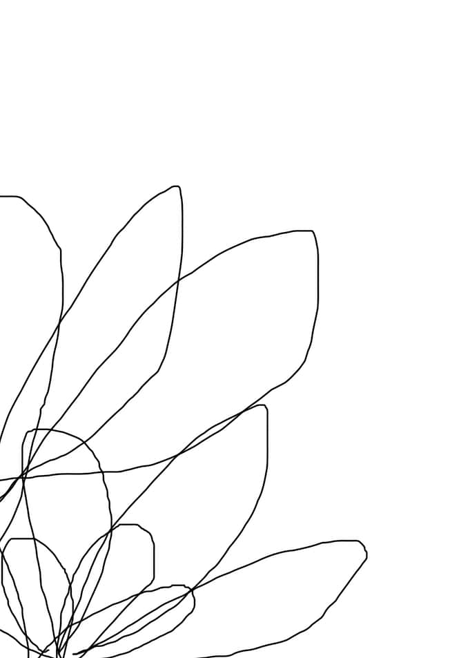 original abstract line