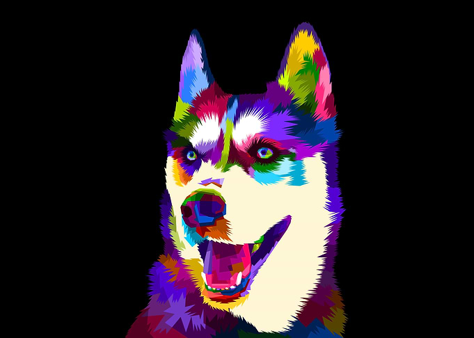 Colorful dog