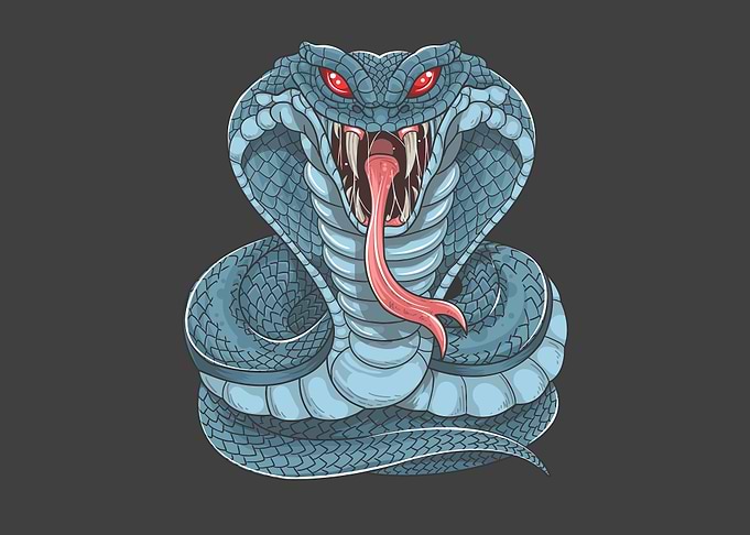 Cobra snake illustration