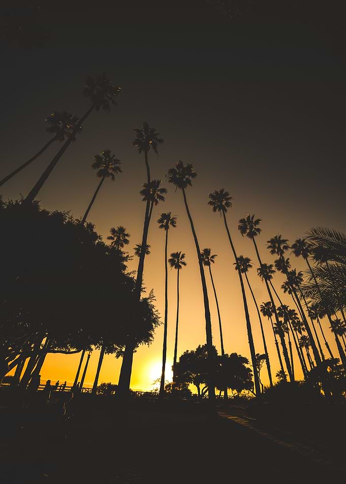 Los Angles