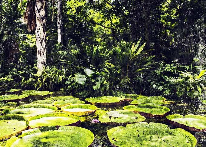Lush Amazon river