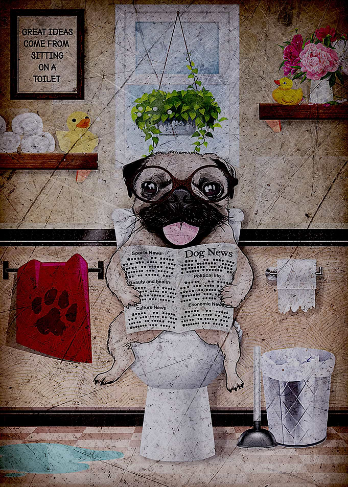 Pug
